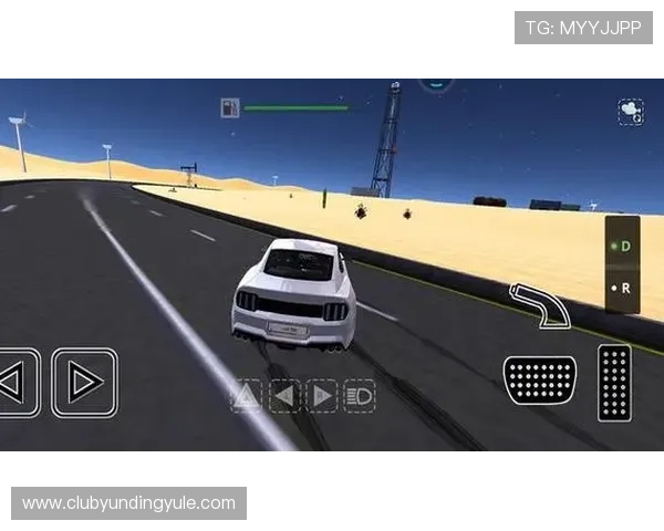 云顶4008官网版最新版本更新内容与玩家反馈分析