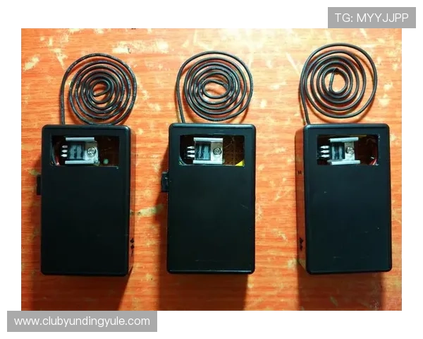 老虎机pp电子版在线试玩体验与真实玩家评价全方位推荐