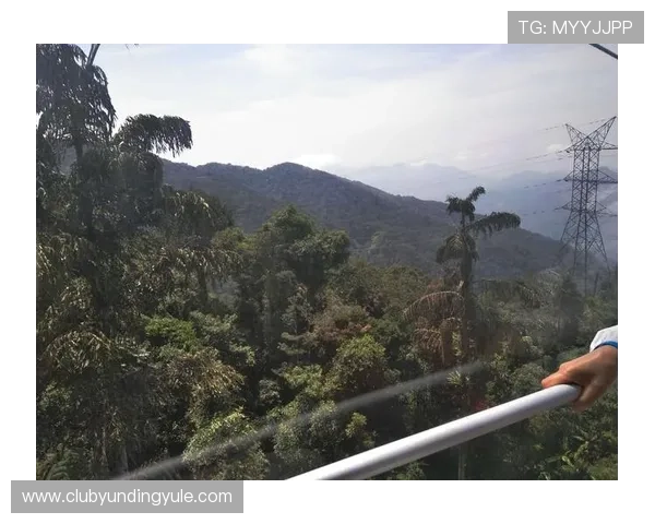 马来西亚云顶赌城的建筑高度如何影响其整体运营与游客体验